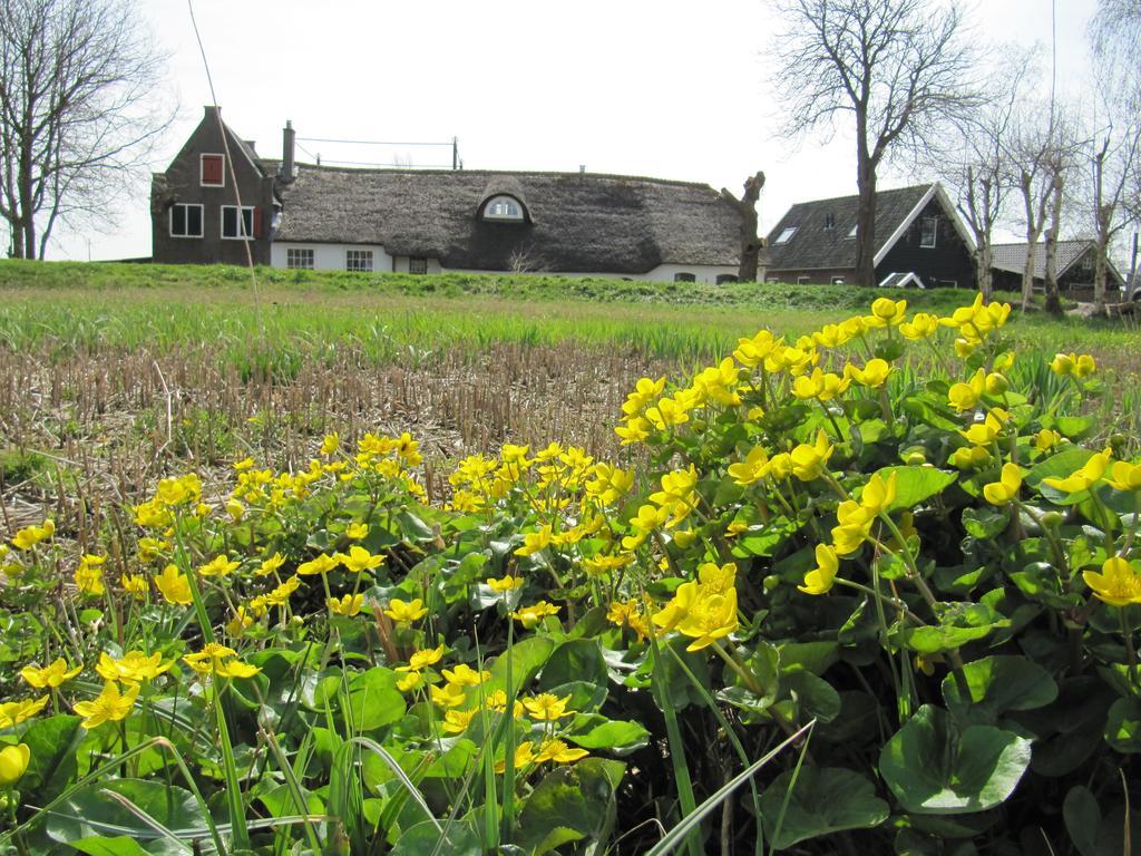 Boerderij Honswijck Guest House Weesp Luaran gambar