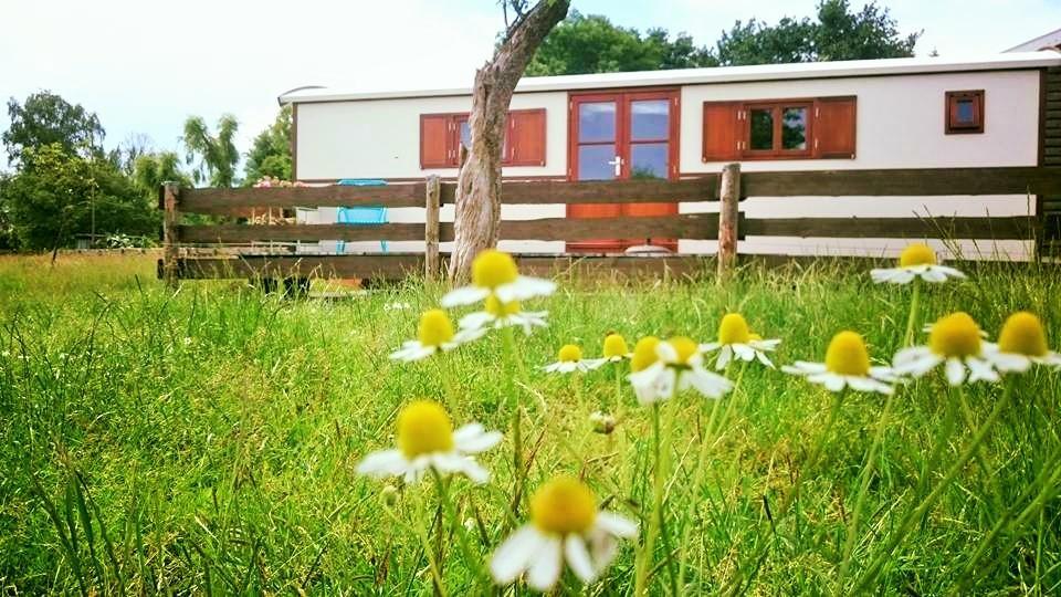 Boerderij Honswijck Guest House Weesp Luaran gambar