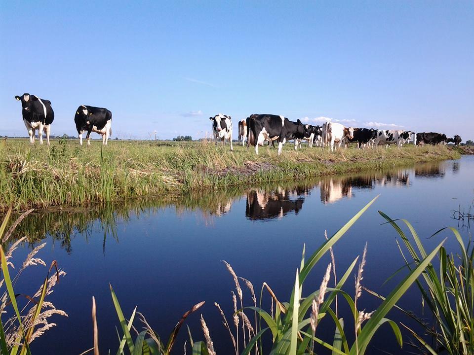 Boerderij Honswijck Guest House Weesp Luaran gambar